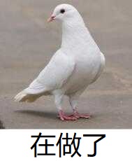 在做了